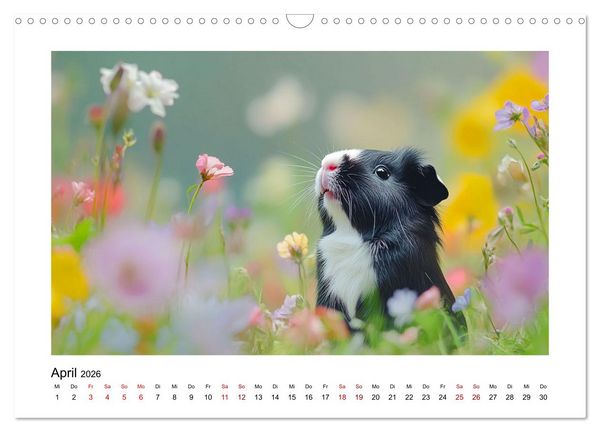 Produktbild: Mehr Schwein mit Meerschwein (Wandkalender 2026 DIN A3 quer), CALVENDO Monatskalender