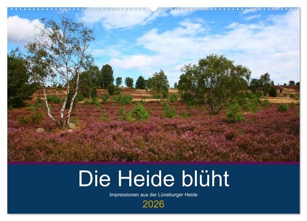 Die Heide blüht (Wandkalender 2026 DIN A2 quer), CALVENDO Monatskalender