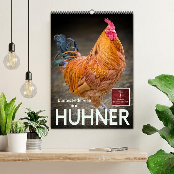 Produktbild: H&uuml;hner - buntes Federvieh (Wandkalender 2026 DIN A2 hoch), CALVENDO Monatskalender