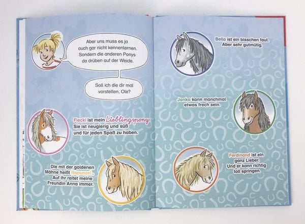 Produktbild: Lesen lernen mit Conni: Conni und das wilde Pony