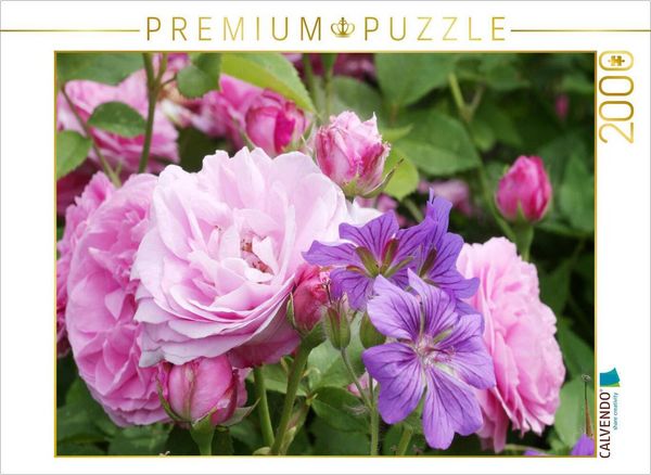 CALVENDO Puzzle Rosen mit Storchschnabel | 2000 Teile Lege-Größe 90x67cm Foto-Puzzle für glückliche Stunden