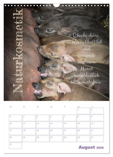 Produktbild: Tierische Challenges: F&uuml;r mehr Bewusstsein und mehr Tierschutz (Wandkalender 2026 DIN A3 hoch), CALVENDO Monatskalender