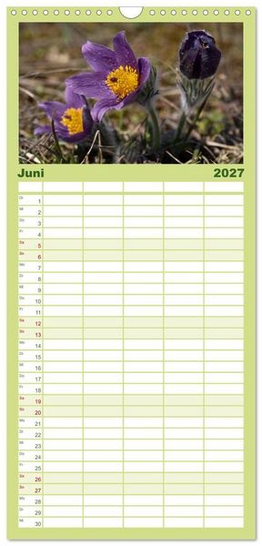 Produktbild: Familienplaner 2027 - Fr&uuml;hlingsbl&uuml;her - Farbenpracht nach dem Winter mit 5 Spalten (Wandkalender, 21 x 45 cm) CALVENDO