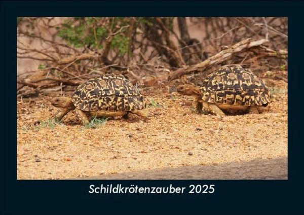 Produktbild: Schildkr&ouml;tenzauber 2025 Fotokalender DIN A5