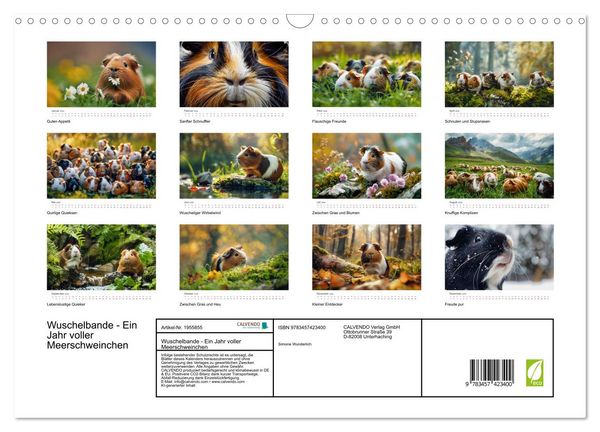 Produktbild: Wuschelbande - Ein Jahr voller Meerschweinchen (Wandkalender 2026 DIN A3 quer), CALVENDO Monatskalender