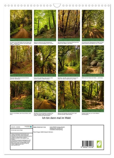 Produktbild: Ich bin dann mal im Wald (Wandkalender 2026 DIN A3 hoch), CALVENDO Monatskalender