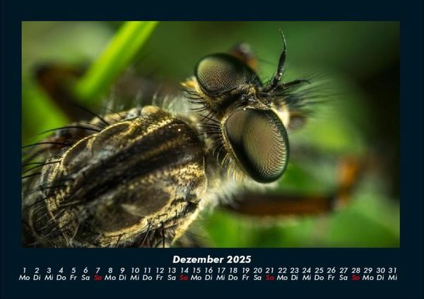 Produktbild: Welt der Tiere 2025 Fotokalender DIN A4