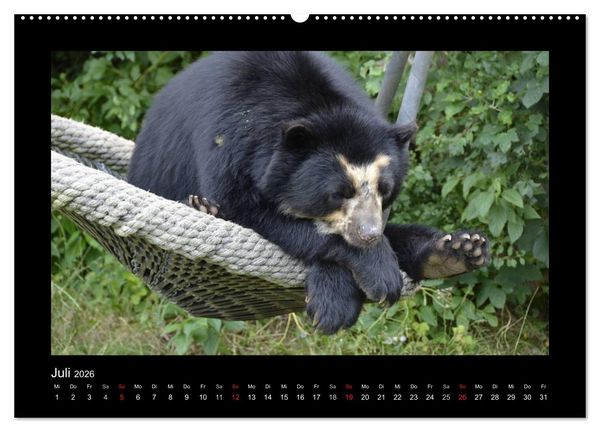 Produktbild: Bitte nicht st&ouml;ren... hier tr&auml;umen Tiere (hochwertiger Premium Wandkalender 2026 DIN A2 quer), Kunstdruck in Hochglanz