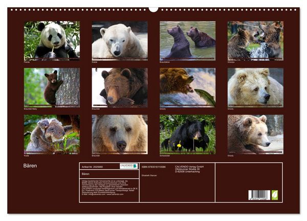 Produktbild: B&auml;ren (Wandkalender 2026 DIN A2 quer), CALVENDO Monatskalender