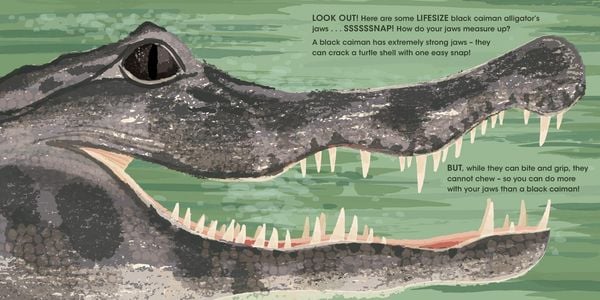 Produktbild: Lifesize Deadly Animals