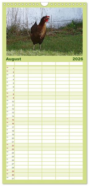 Produktbild: Familienplaner 2026 - Die H&uuml;hner sind los! mit 5 Spalten (Wandkalender, 21 x 45 cm) CALVENDO
