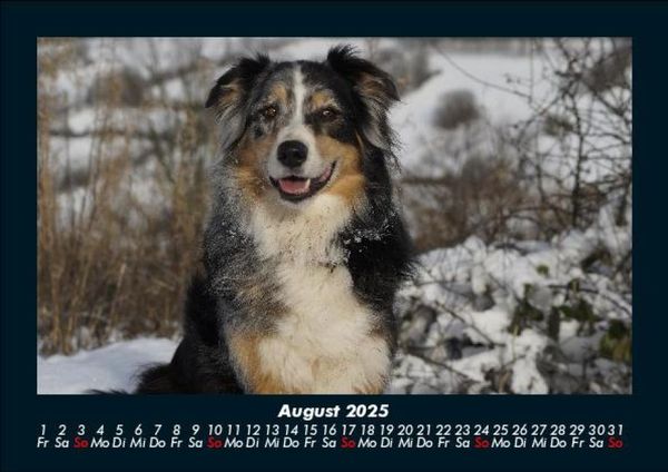 Produktbild: Winterzauber 2025 Fotokalender DIN A5
