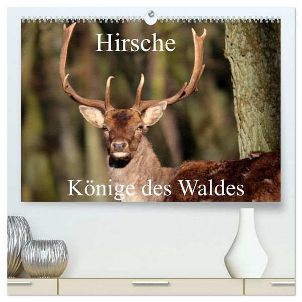 Produktbild: Hirsche - K&ouml;nige des Waldes/Geburtstagskalender (hochwertiger Premium Wandkalender 2026 DIN A2 quer), Kunstdruck in Hochglanz