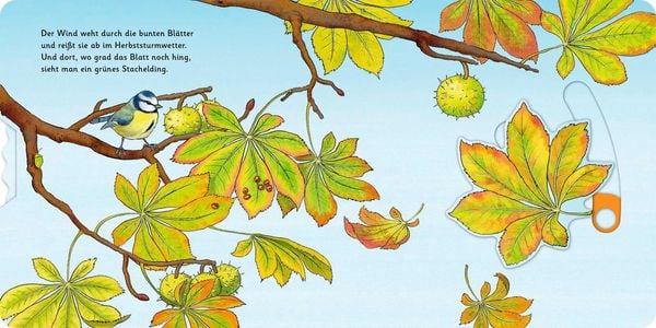 Produktbild: Das Kastanienwunder