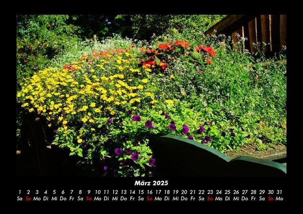 Produktbild: Blumenkalender 2025 Fotokalender DIN A3