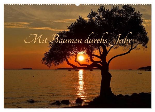 Mit Bäumen durchs Jahr (Wandkalender 2026 DIN A2 quer), CALVENDO Monatskalender