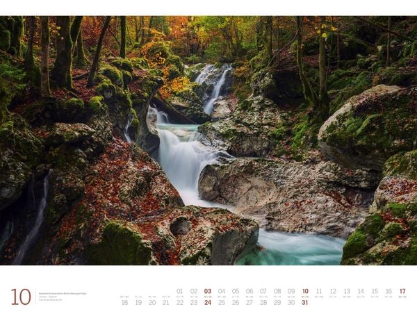 Produktbild: Wald Gallery Kalender 2027