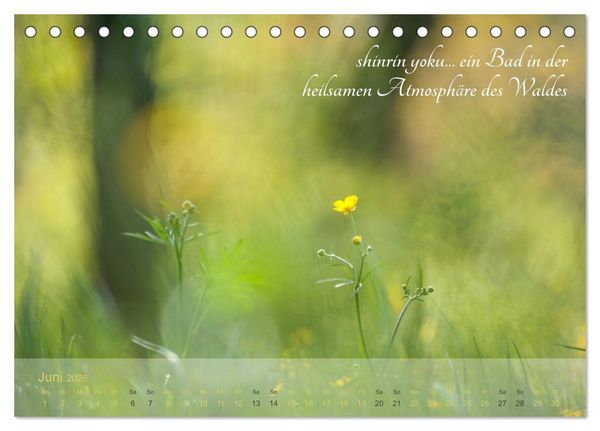 Produktbild: Shinrin yoku - Waldbaden 2026 (Tischkalender 2026 DIN A5 quer), CALVENDO Monatskalender