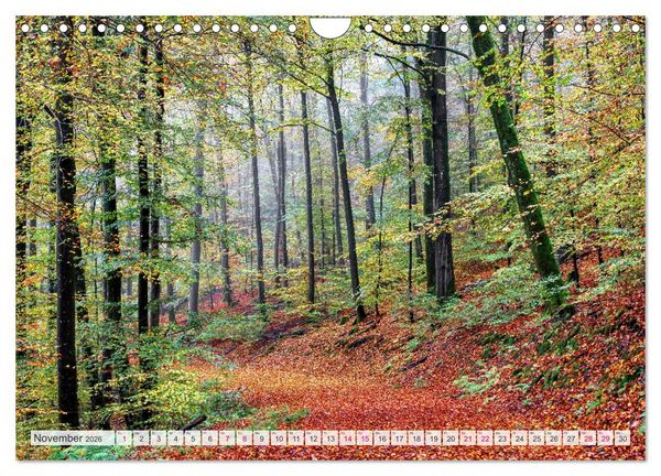 Produktbild: Idyllische Wanderwege im Bergischen Land (Wandkalender 2026 DIN A4 quer), CALVENDO Monatskalender
