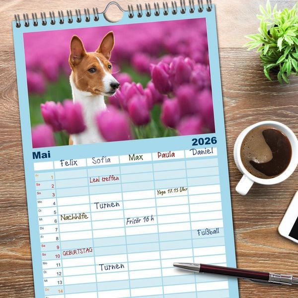 Produktbild: Familienplaner 2026 - Basenji-Sch&ouml;nheiten mit 5 Spalten (Wandkalender, 21 x 45 cm) CALVENDO