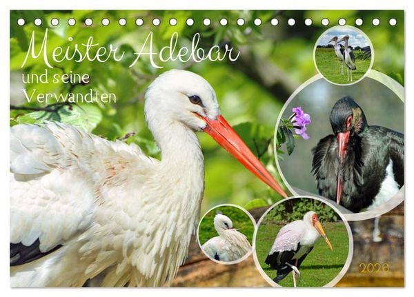 Produktbild: Meister Adebar und seine Verwandten (Tischkalender 2026 DIN A5 quer), CALVENDO Monatskalender