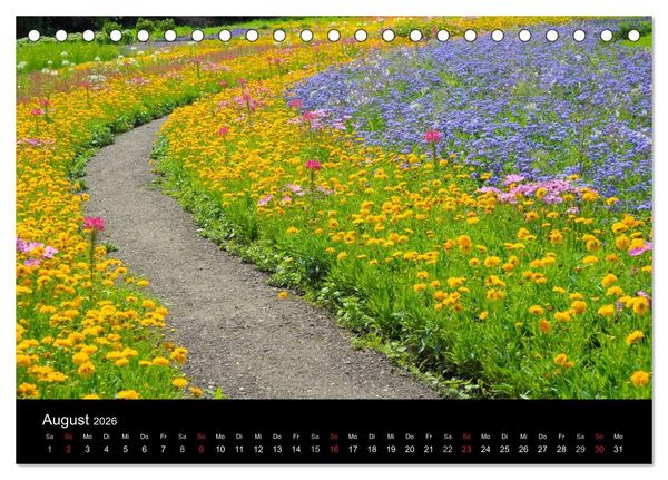Produktbild: Wege 2026 (Tischkalender 2026 DIN A5 quer), CALVENDO Monatskalender
