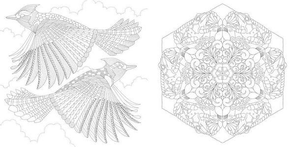 Produktbild: Millie Marotta's Beautiful Birds and Treetop Treasures: Mini Edition