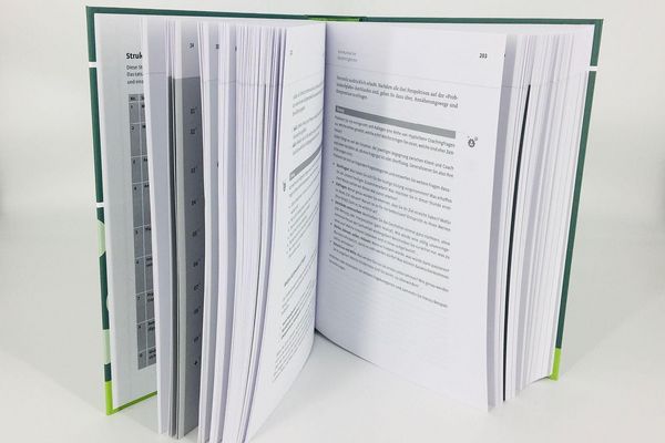 Produktbild: Handbuch Coaching und Beratung