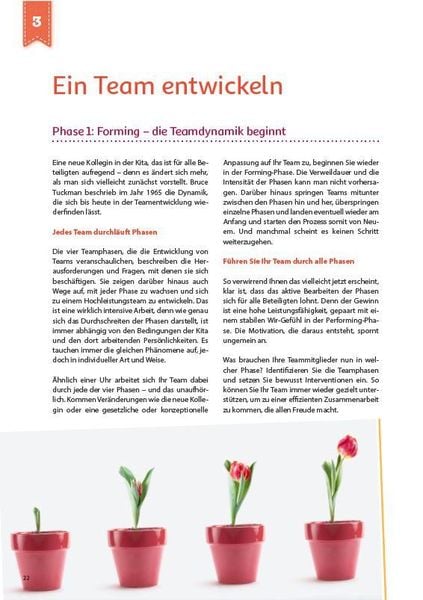 Produktbild: Teamentwicklung in der Kita
