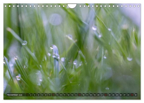 Produktbild: Feng Shui Farben - Element: Holz (Wandkalender 2026 DIN A4 quer), CALVENDO Monatskalender