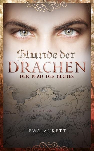 Produktbild: Der Pfad des Blutes / Stunde der Drachen Bd.2