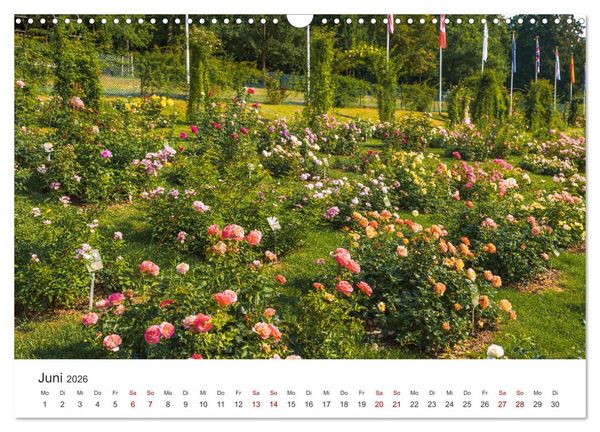 Produktbild: Baden-Baden, Kurstadt am Rande des Schwarzwaldes (Wandkalender 2026 DIN A3 quer), CALVENDO Monatskalender