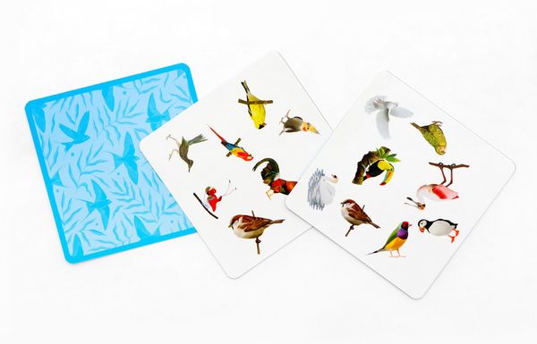 Produktbild: Finde den Vogel