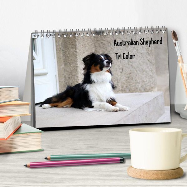 Produktbild: Australian Shepherd Tri Color (Tischkalender 2026 DIN A5 quer), CALVENDO Monatskalender
