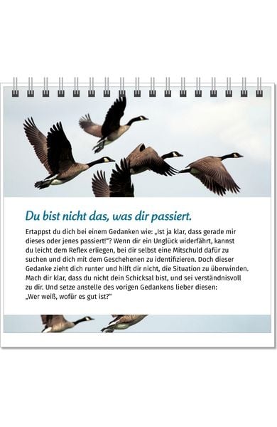 Produktbild: Der Lebensfreude-Tischkalender 2027