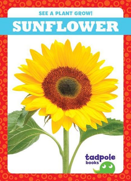 Produktbild: Sunflower