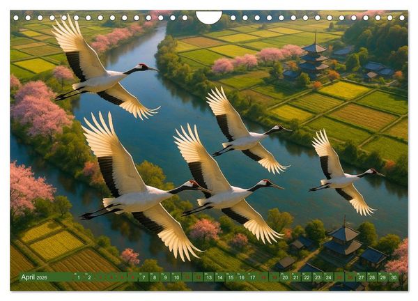 Produktbild: &Uuml;ber dem Vogelflug (Wandkalender 2026 DIN A4 quer), CALVENDO Monatskalender