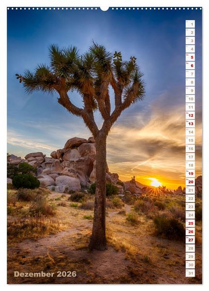 Produktbild: FASZINATION USA Urbanes und Naturhighlights (Wandkalender 2026 DIN A2 hoch), CALVENDO Monatskalender