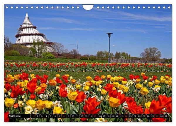 Produktbild: Magdeburg an der Elbe 2026 (Wandkalender 2026 DIN A4 quer), CALVENDO Monatskalender