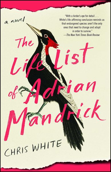 Produktbild: The Life List of Adrian Mandrick
