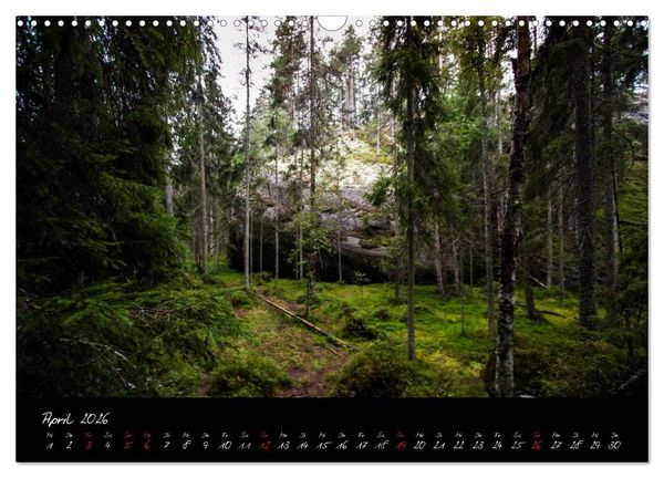 Produktbild: Wald (Wandkalender 2026 DIN A3 quer), CALVENDO Monatskalender