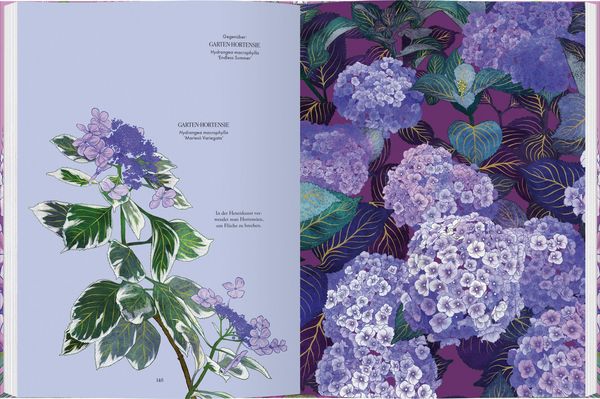 Produktbild: Bl&uuml;ten