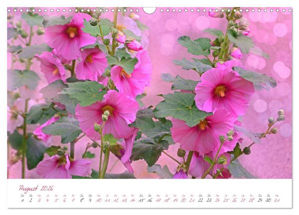 Produktbild: Bl&uuml;tentr&auml;ume in violett und pink (Wandkalender 2026 DIN A3 quer), CALVENDO Monatskalender