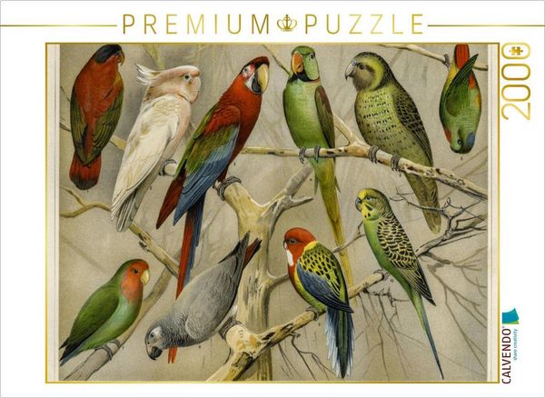 CALVENDO Puzzle Papageien | 2000 Teile Lege-Größe 90x67cm Foto-Puzzle für glückliche Stunden