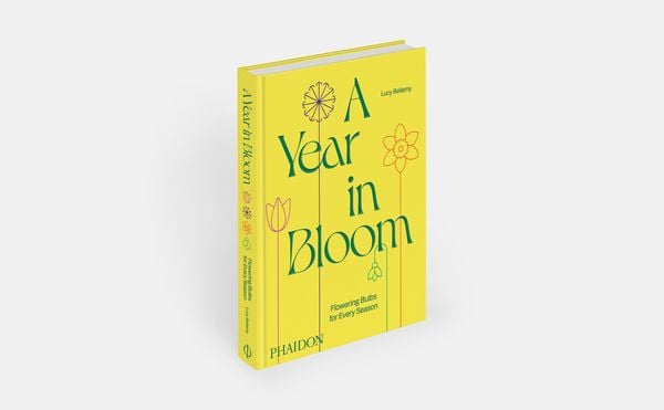Produktbild: A Year in Bloom