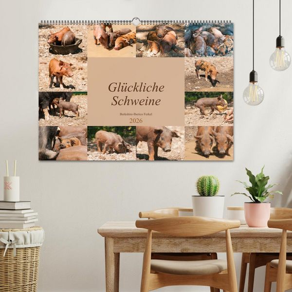 Produktbild: Gl&uuml;ckliche Schweine Berkshire-Iberico Ferkel (Wandkalender 2026 DIN A2 quer), CALVENDO Monatskalender