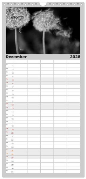 Produktbild: Familienplaner 2026 - Pusteblume - Impressionen in schwarzwei&szlig; mit 5 Spalten (Wandkalender, 21 x 45 cm) CALVENDO