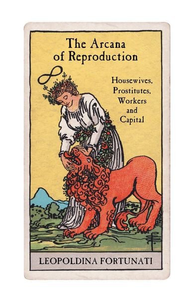 Produktbild: The Arcana of Reproduction