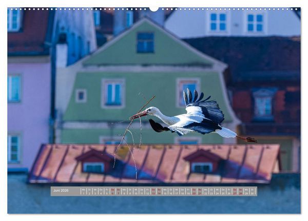 Produktbild: Regensburg Mittelalterliche Stadt mit Flair an der Donau (hochwertiger Premium Wandkalender 2026 DIN A2 quer), Kunstdruck in Hochglanz
