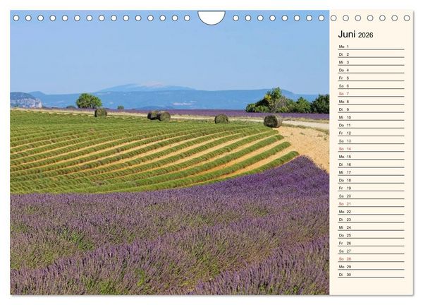 Produktbild: Lavendel (Wandkalender 2026 DIN A4 quer), CALVENDO Monatskalender